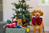 Home For the Holidays Paw Warmers Christmas Plush Squeakers Dog Toy