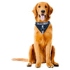 Barker's Bowtique Athletic Wear Dallas Cowboys Pet Bandana