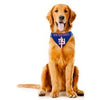 Barker's Bowtique Athletic Wear NY Giants Pet Bandana