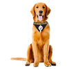 Barker's Bowtique Athletic Wear Steelers Pet Bandana