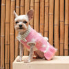 Dogo Pet Fashions Dresses Daisy Sweater Pet Dress