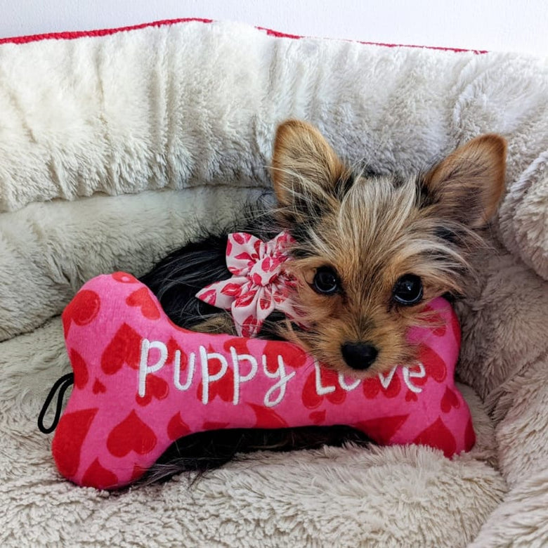 Huxley & Kent dog toys My Puppy Love Bone Plush Squeak Dog Toy - 2 Sizes