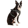 FuzzYard Harnesses Step In Dog Harness Savanna