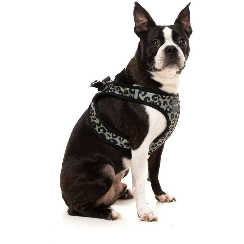 FuzzYard Harnesses Step In Dog Harness Savanna