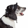 Pet Life Hats MD Sea Spot Sun UV Protectant Adjustable Black with Polka Dot Trim Pet Hat Cap