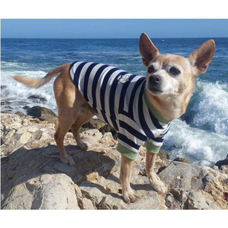 Barker's Bowtique Tee's Crown Striped Pet Tee Navy/Green