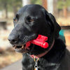 SodaPup dog toys Key To My Heart Ultra Durable Nylon Dog Chew Toy