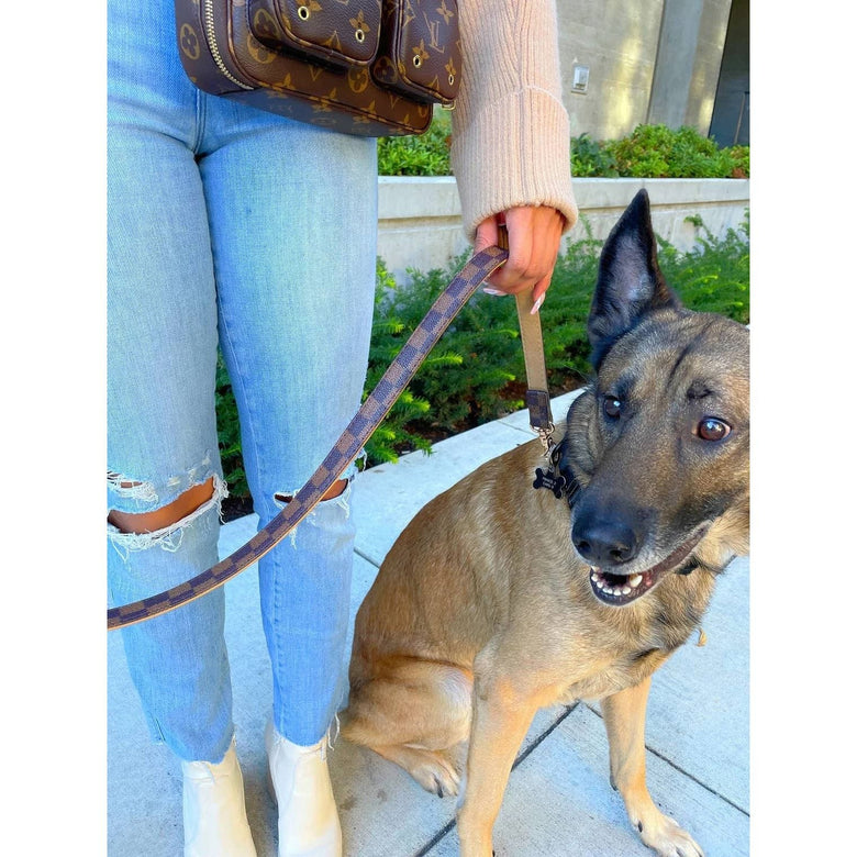 BARK by DOG Collars-Leashes Amalfi Luxury Pet Leash
