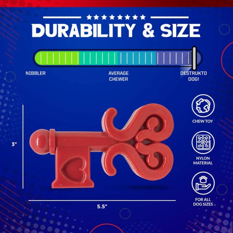 SodaPup dog toys Key To My Heart Ultra Durable Nylon Dog Chew Toy