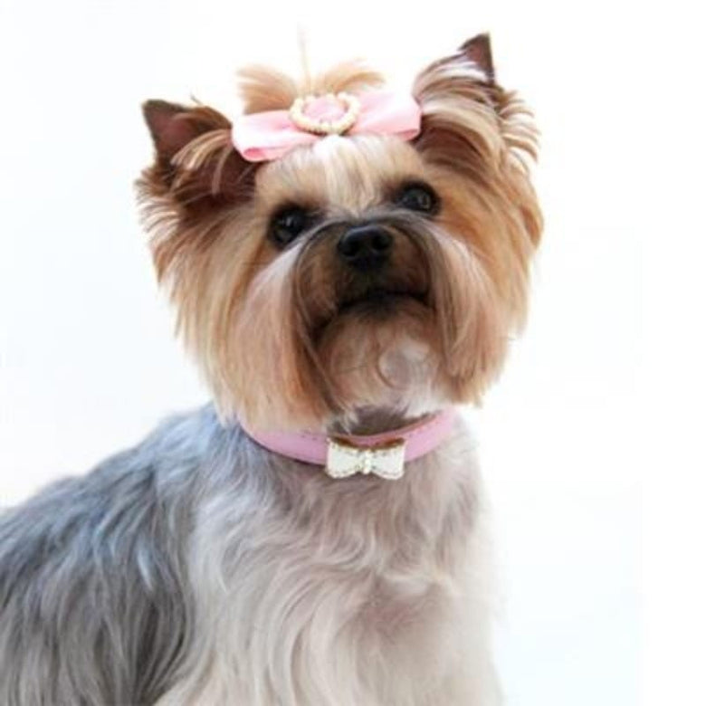Barker's Bowtique - Home to Hip Doggie & Max's Closet Collars Crystal Bow Pet Collar in Pink or Black