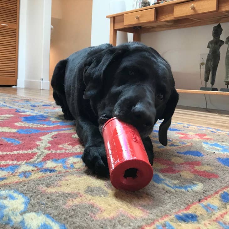 SodaPup dog toys SP Retro Soda Can - Chew Dog Toy - Treat Dispenser - Red Lg