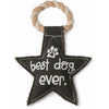 Pavilion Toys Best Dog Ever Star Shaped Sturdy Canvas Tug of War Dog Toy