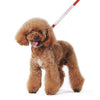 Dogo Pet Fashions Leashes Red VIP Bling Leash