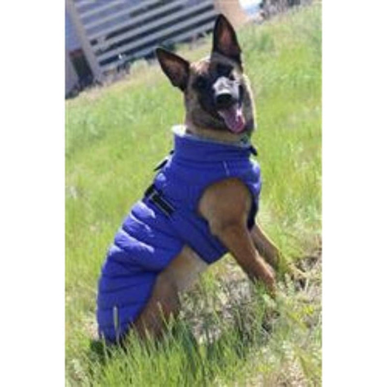 Doggie Design, Inc. Jackets-Coats Alpine Extreme Weather Puffer Dog Coat - Navy Blue