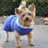 Doggie Design, Inc. Jackets-Coats Alpine Extreme Weather Puffer Dog Coat - Navy Blue