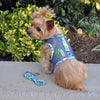 Doggie Design, Inc Harnesses Cool Mesh Dog Harness with Leash - Surfboard Blue and Green