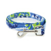 Doggie Design, Inc Harnesses Cool Mesh Dog Harness with Leash - Surfboard Blue and Green