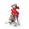 fabdog dog toys S Floppy Lobster Plush Squeak Dog Toy - Sm