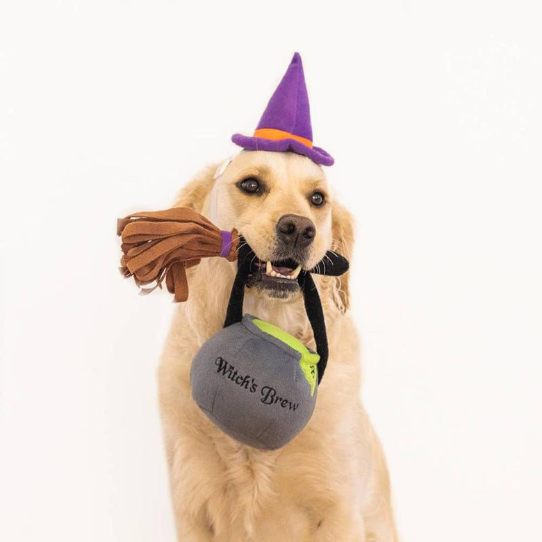 ZippyPaws dog toys Halloween Pet Costume Kit Witch Dog Toy