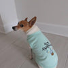 Parisian Pet Tee's It's My Birthday Dog T-Shirt Blue