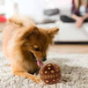 Dog Diggin Designs Toys, Chewy Brown Chewy Ball Plush Squeak Dog Toy