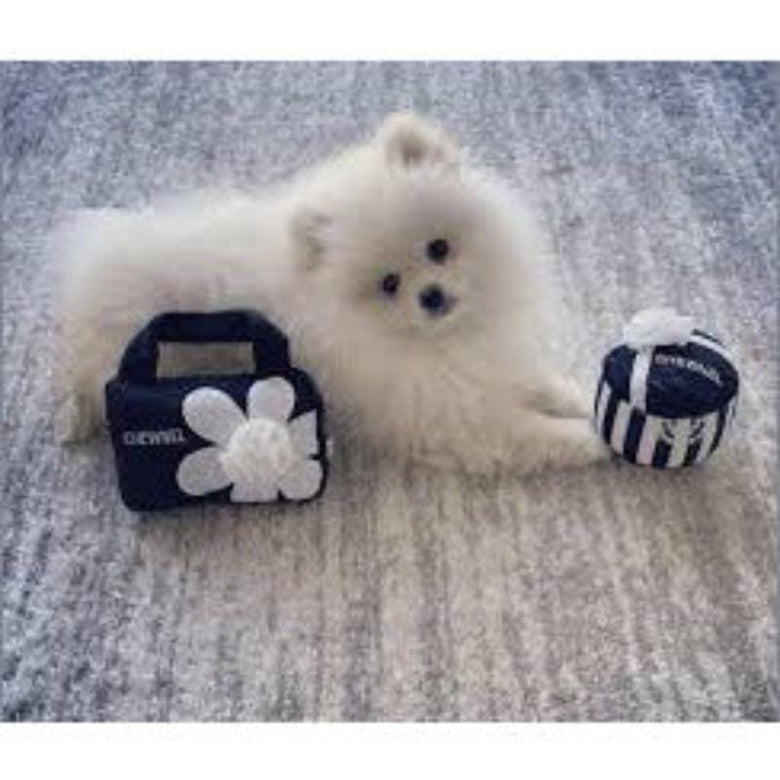 Dog Diggin Designs dog toys Chewnel Gift Box Plush Squeak Dog Toy
