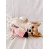 Dog Diggin Designs Toys Chewnel "Tie Me In Knots" Shoe Plush Squeak Dog Toy - 2 Sizes