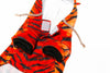 Tiger Halloween Dress Up Pet Costume