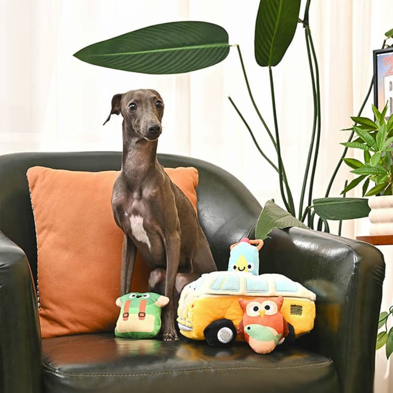 Hugsmart Products Inc Dog Toys Volkswagen Camper Van Hide and Seek Interactive Plush Squeaky Dog Toy Set - 4 Pc