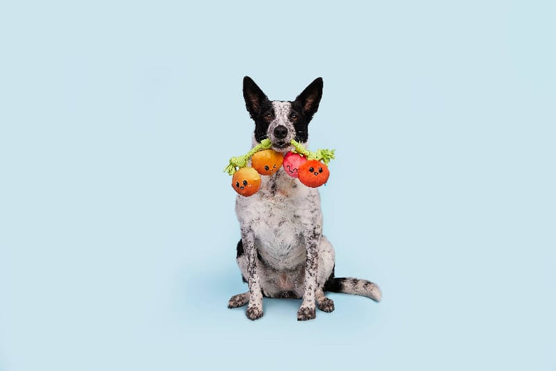BARK dog toys Hairloom Tomatoes Plush Squeak Rope Tug Dog Toy
