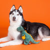 Petshop by Fringe Studio dog toys Candy Rex Halloween Witch Squeak Plush Dog Toy
