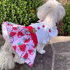 Doggie Design Dog Apparel Strawberry Picnic Dog Harness Dress with Matching Leash