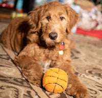 Thoozy dog toys Basketball Plush Squeak Dog Toy 4"