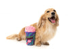 FuzzYard dog toys Halloween Zombrain Freeze Slushie Plush Squeak Dog Toy