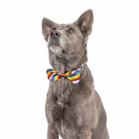 Huxley & Kent Huxley & Kent - All Together Bow Tie: Small
