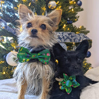 Huxley & Kent Bow Tie Merry & Bright Pinwheel Holiday Pet Collar Attachment - 2 Sizes