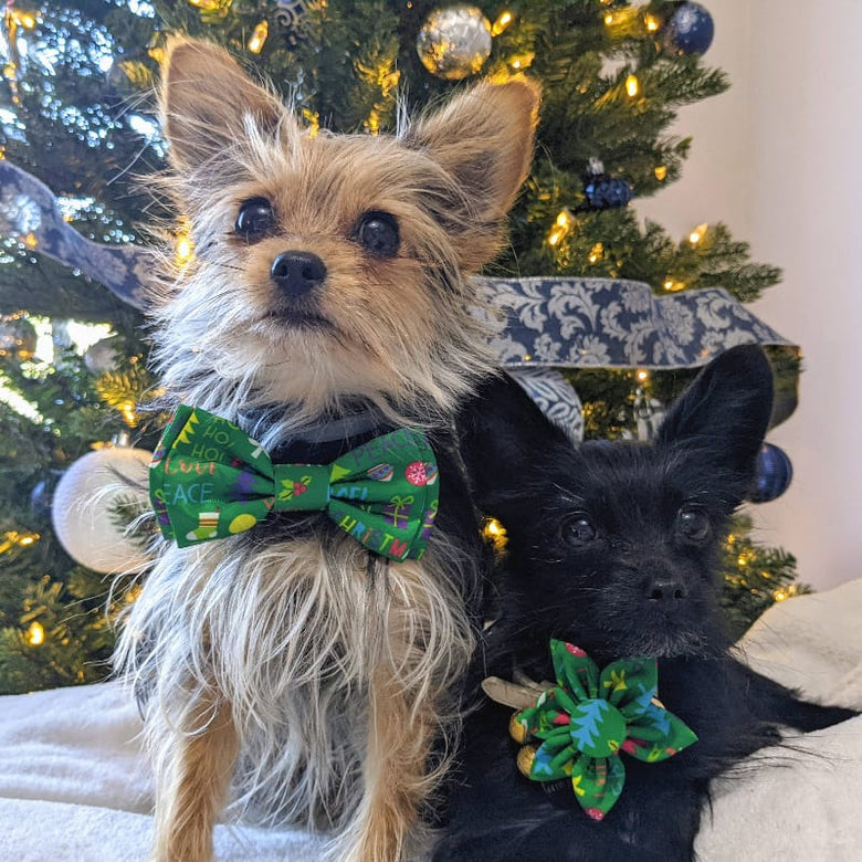 Huxley & Kent Bow Tie Merry & Bright Pinwheel Holiday Pet Collar Attachment - 2 Sizes
