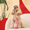 Hugsmart Products Inc Dog Toys Woof Love You're the Wine I want Bottle Rubber Squeak Dog Toy