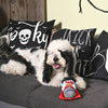 Hugsmart Products Inc Hugsmart Products Inc - HugSmart Pet - Howloween Night | Dracula - Dog Plush Toy