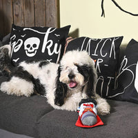 Hugsmart Products Inc Hugsmart Products Inc - HugSmart Pet - Howloween Night | Dracula - Dog Plush Toy