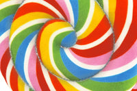 P.L.A.Y. Pet Lifestyle and You Dog Toys Snack Attack Lollipop Colorful Rainbow Plush Squeak Dog Toy