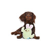 BARK dog toys Consuela the Hoppy Cactus Bunny Ears Plush Squeak Ball Dog Toy