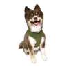 Barker's Bowtique Barker's Bowtique - Hip Doggie-Old Header Cards- Ultra Comfort Harness-Green: XS