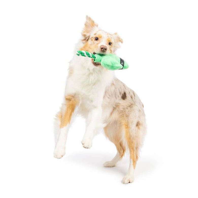 Huxley & Kent dog toys Shamrock Lollipop Plush Dog Toy