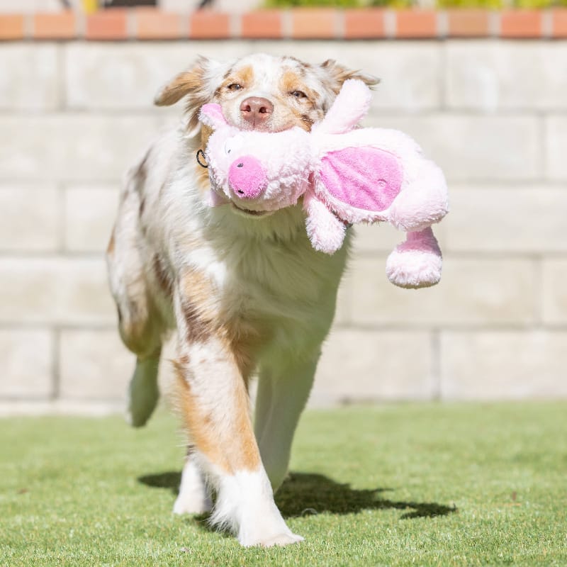 Huxley & Kent Dog Toys Slappies Piggie Smalls Pink Plush Squeak Dog Toy