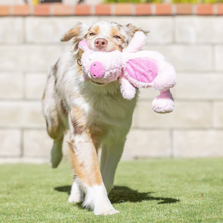 Huxley & Kent Dog Toys Slappies Piggie Smalls Pink Plush Squeak Dog Toy