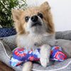 USA Pup Red Wht Blue Patriotic Plush Squeaky Bone Dog Toy - 2 Sizes