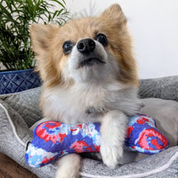 USA Pup Red Wht Blue Patriotic Plush Squeaky Bone Dog Toy - 2 Sizes