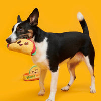 BARK dog toys Doggos Tacos Plush Dog Toy Set - 3 Pc