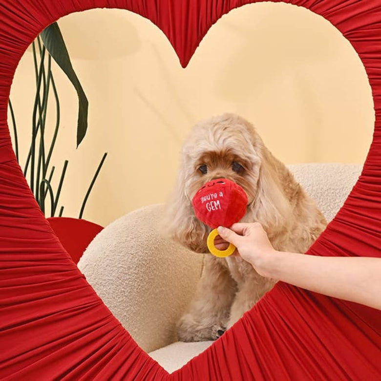 Hugsmart Products Inc Dog Toys Woof Love "You're A Gem" Ruby Red Ring Plush Ball Dog Toy